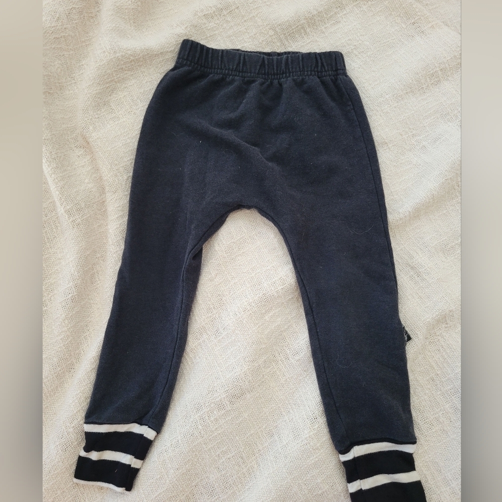 Whistle and flute bamboo harem joggers 1/2t